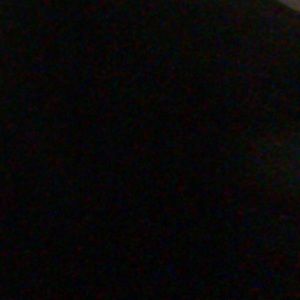 Meet your Posher, Daisy